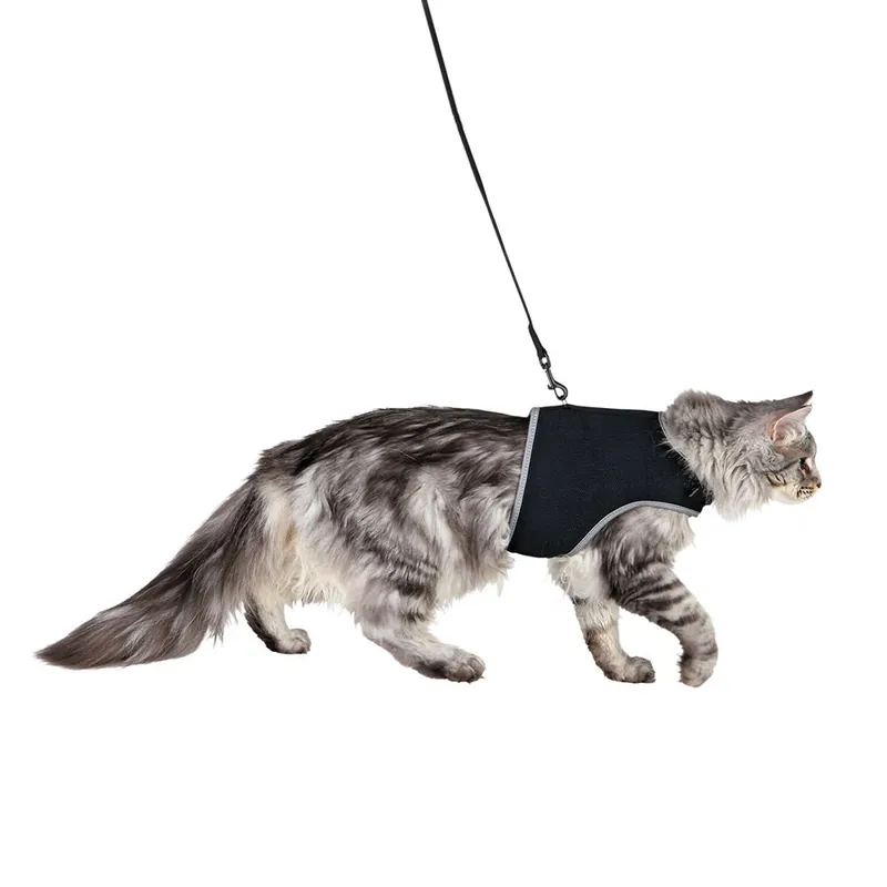 Spara nu | Trixie Kattsele med Koppel XL