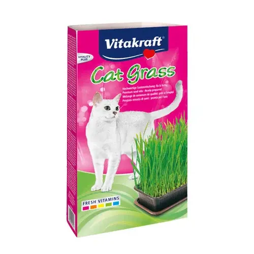 Nyhet i webbutiken - Vitakraft Kattgräs i låda