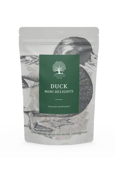 Utförsäljning | Duck Mini Delights