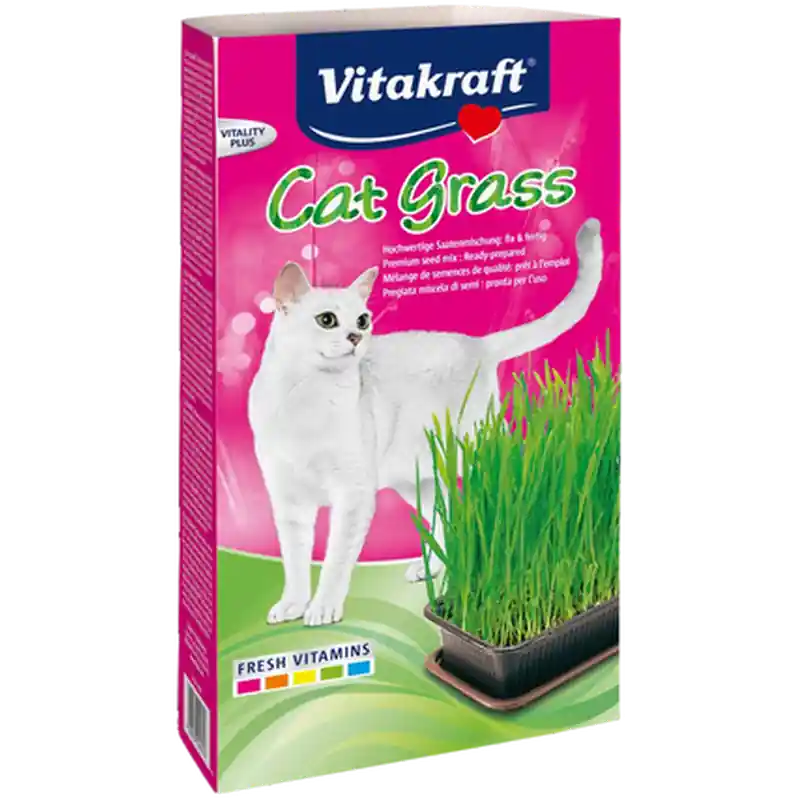 Premium - Kattgräs med Groddlåda 120 g