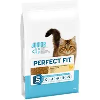 Perfect Fit Junior - Specialerbjudande