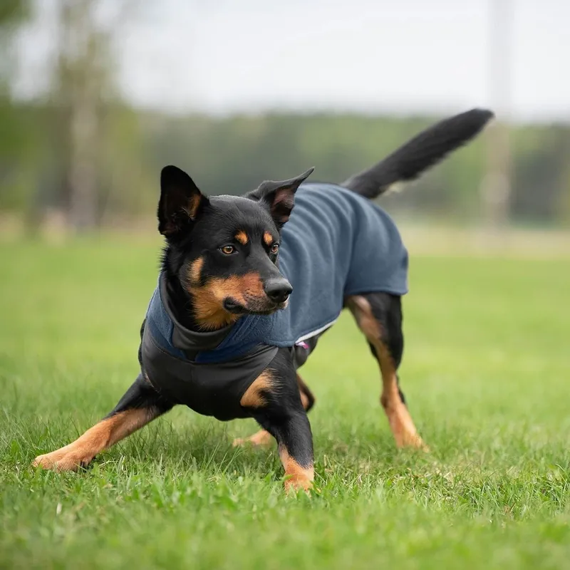 Pomppa Jumppa Fleecetäcke Hund Midnight | Rabatter