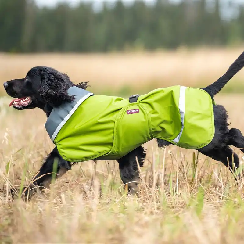 Pomppa Sade Regntäcke Hund Lime | Passa på nu