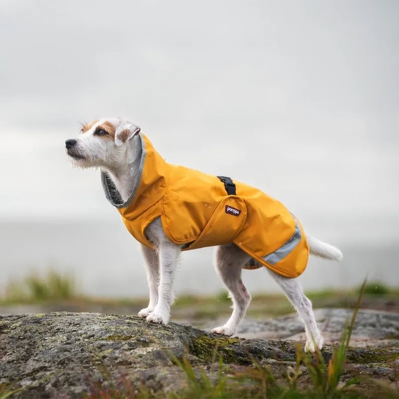 Premium - Pomppa Perus Vintertäcke Hund Curry