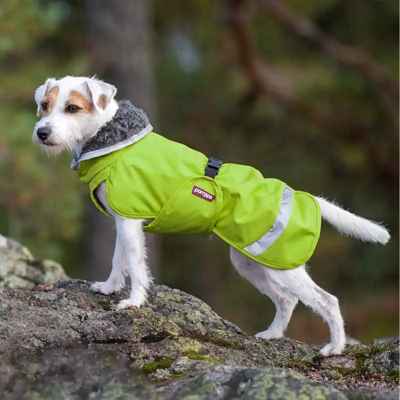 Få kvar i lager - Pomppa Perus Vintertäcke Hund Lime