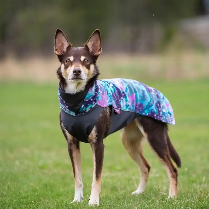 Pomppa Jumppa Fleecetäcke Hund Aurora - Fyndpris