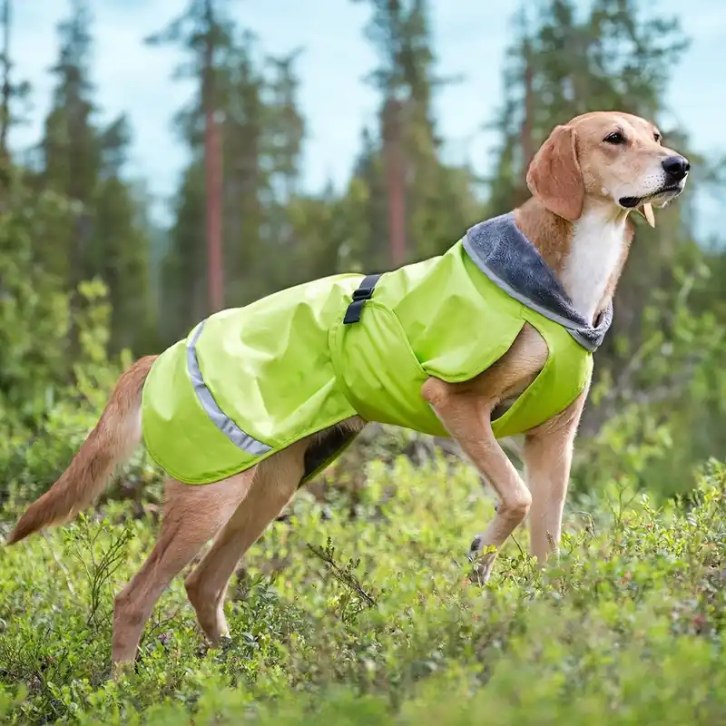 Hög kvalitet | Pomppa Kevyt Regnjacka Hund Lime
