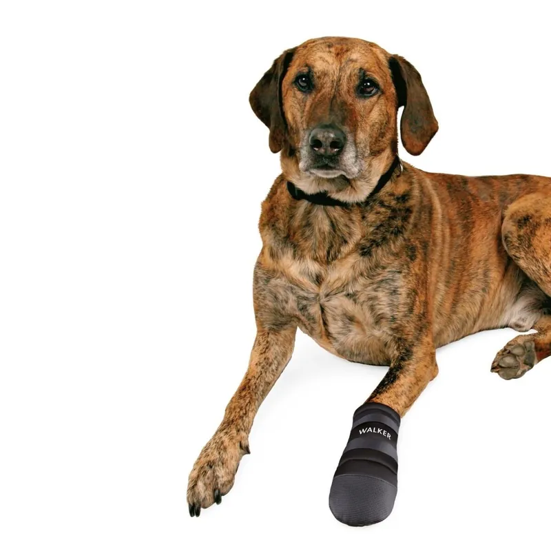 Trixie Hundsko Neopren 2-pack | Passa på