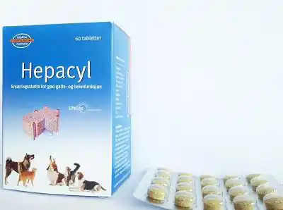 Hepacyl Levertillskott - 60 kapslar | Topprodukt