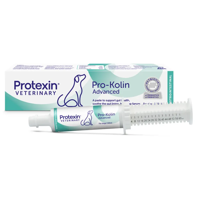 Pro-Kolin Advanced Dog - 60 ml - Säker betalning