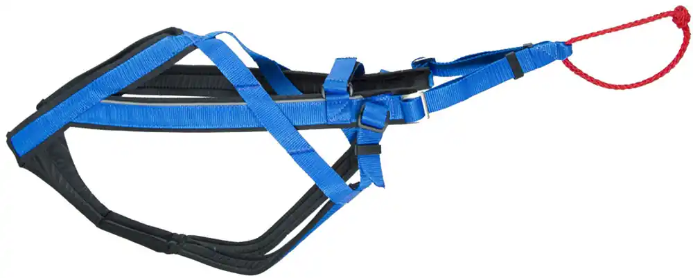 Erbjudande | Adjustable Dragsele - Large / Blå