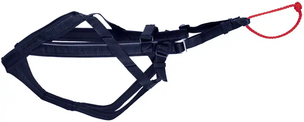 Så länge lagret räcker - Adjustable Dragsele - X-Large / Svart