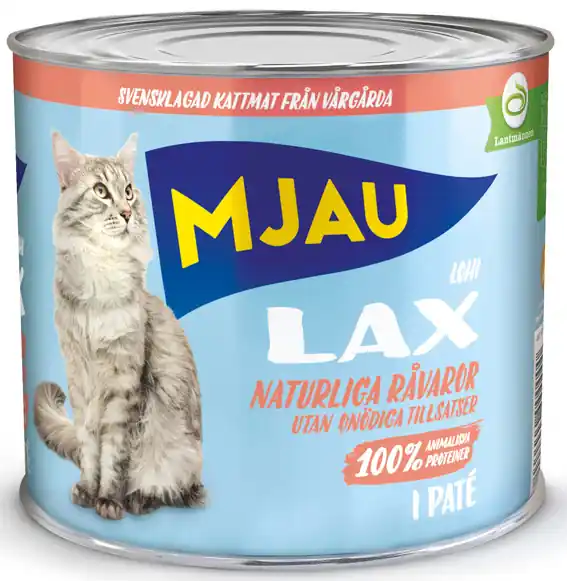 Trygg betalning - Lax Paté Våtfoder för Katt - 12 x 635g