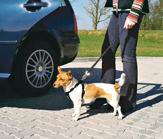 Extra rabatt | Bilsele - Small
