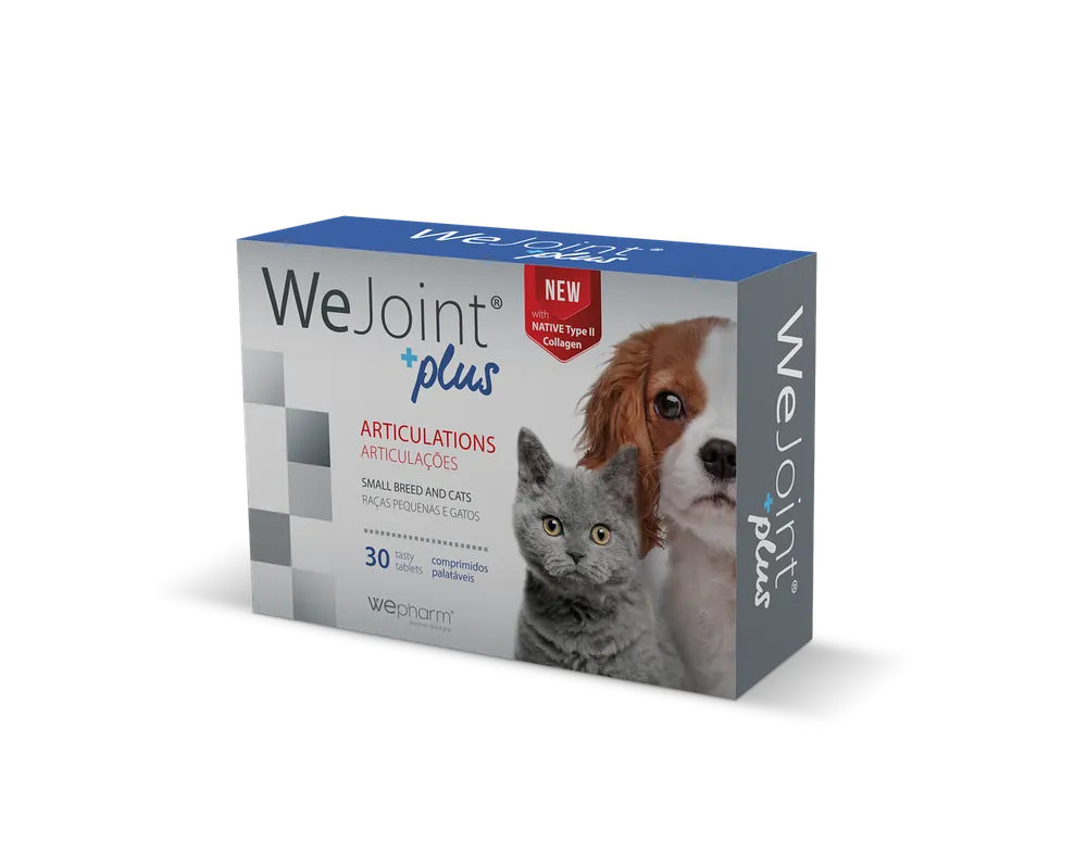 WeJoint Plus Ledtillskott - Small Breed/Cat - Enkel beställning