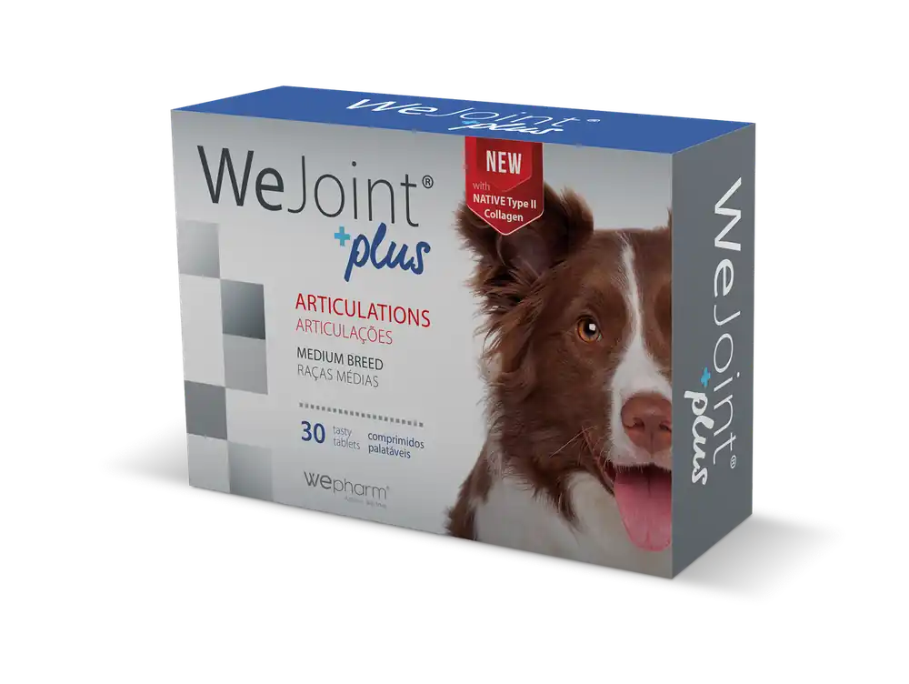 Kampanjpris - WeJoint Plus Ledtillskott - Medium Breed