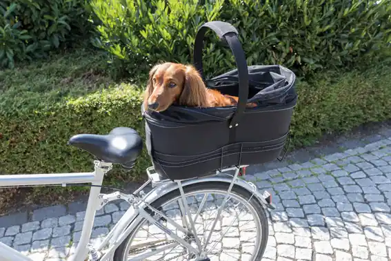Köp direkt | Cykelkorg för pakethållare