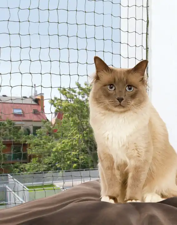 Cat Protect kattnät - X-large - Beställ direkt