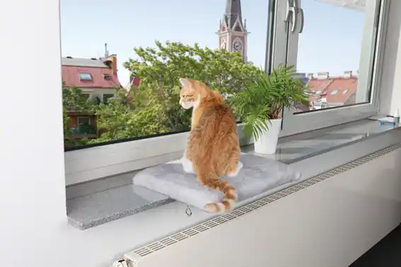 Premium - Fönsterbräda för katt - Fönsterbräda