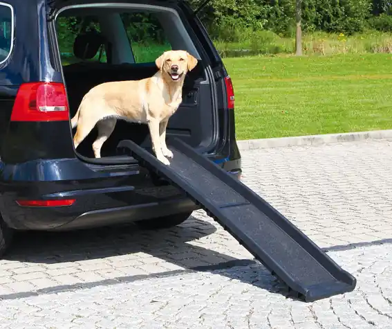 Extra bra pris | Hopfällbar Ramp för hund - Ramp