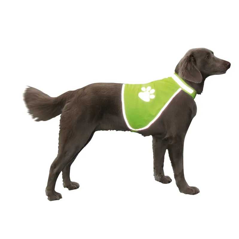 Fyndpris - Säkerhetsväst för hund Nobby Pet