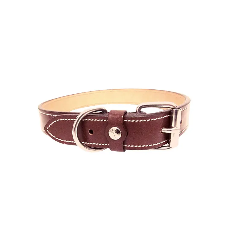 Precis tillagt - Hundhalsband Silver Crown Karl