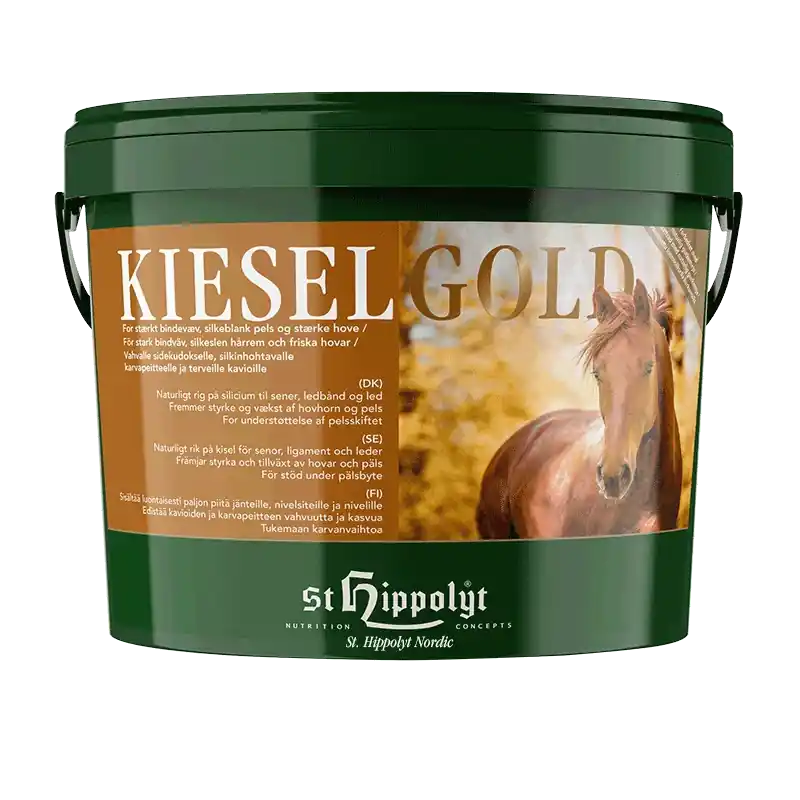 Köp idag - KIESELGOLD 10kg – ST HIPPOLYT