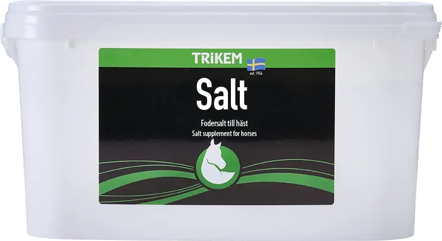 SALT 6000 G | Reapris