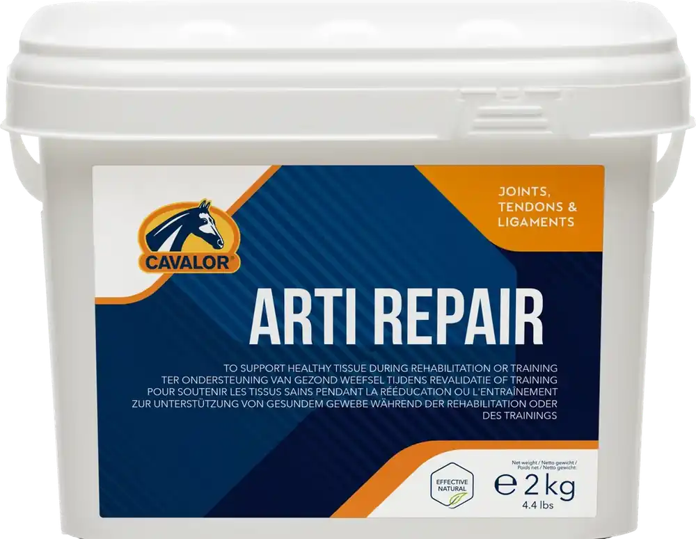 Prissänkt - Arti Repair 2 kg
