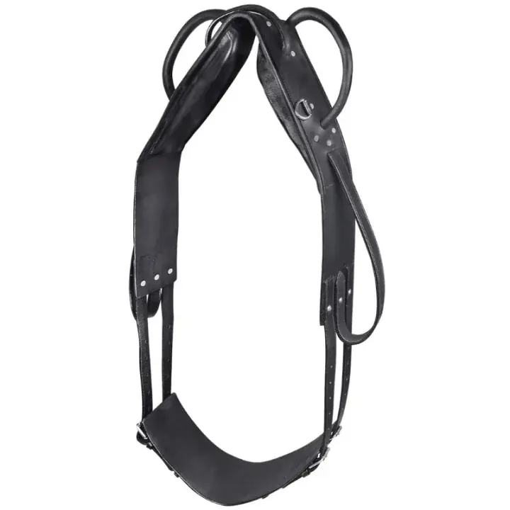 Voltigegjord Leather Svart | Nyhet i webbutiken