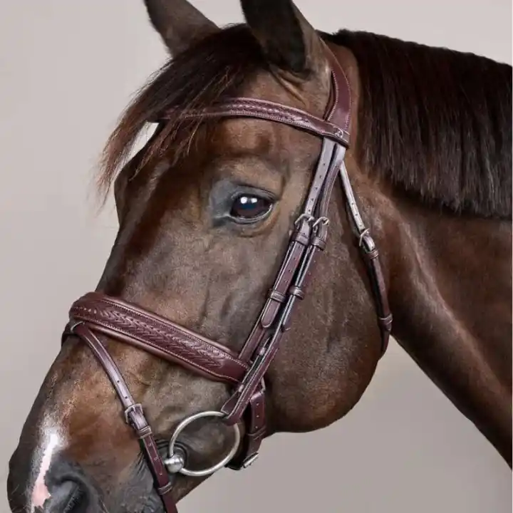 Populärt just nu | Träns Plaited Pull Back New English Collection Brun