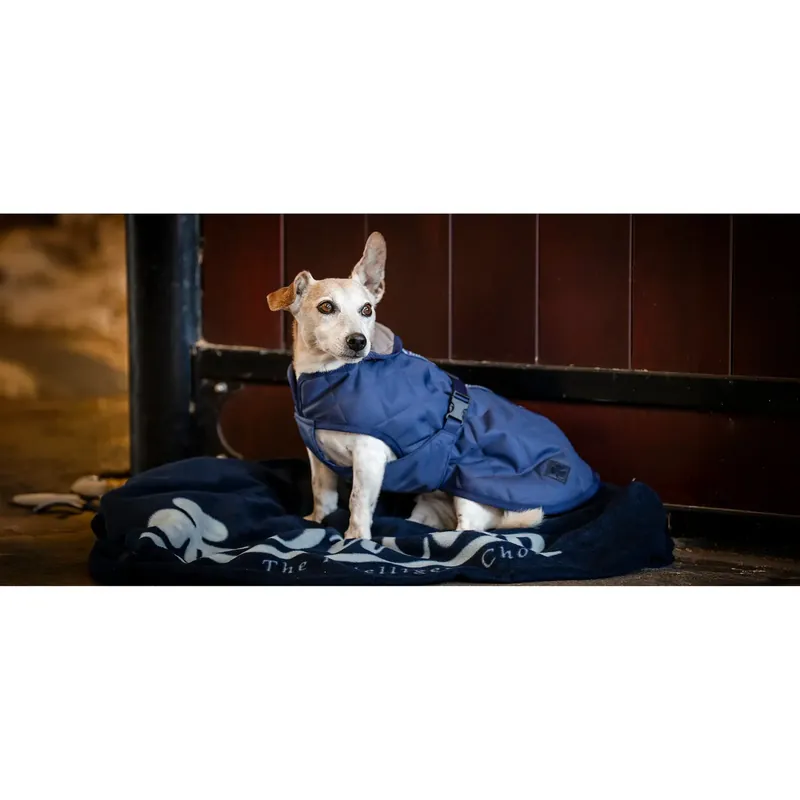 Mysig filt för hund Bucas - Fyndpris