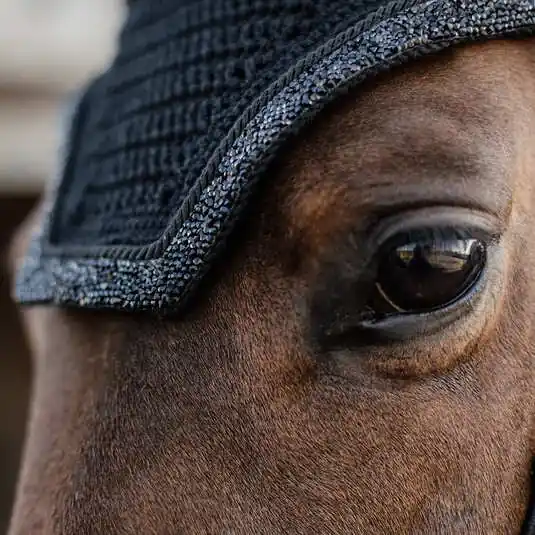 Nyhet - Kentucky Fly Veil Wellington Glitter Stone, Soundless