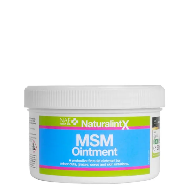NaturalintX MSM Salva 250g | Hög kvalitet