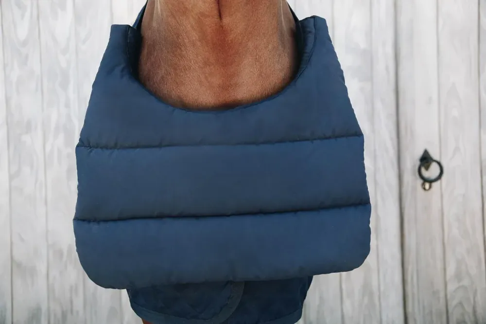 Hög kvalitet | HÄST BIB SOMMAR NAVY