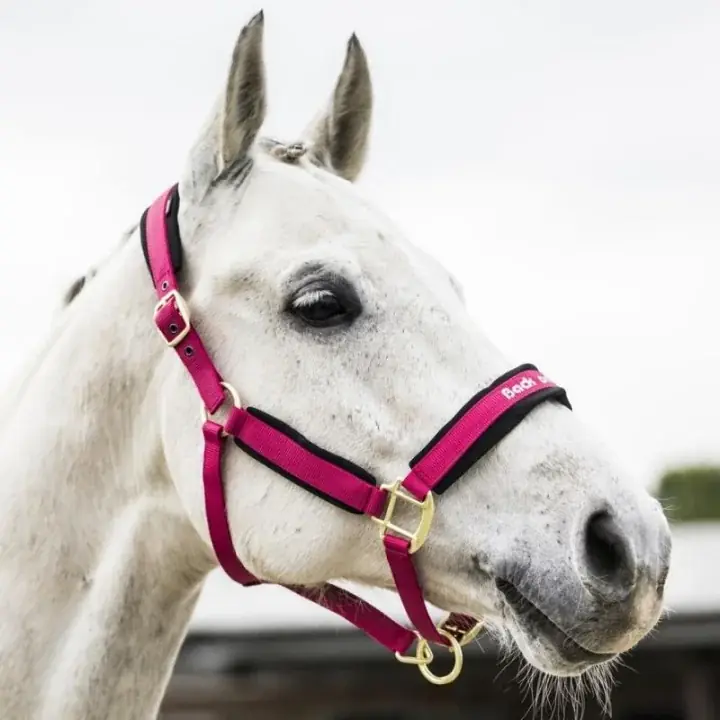 Passa på | Grimma Werano Rosa