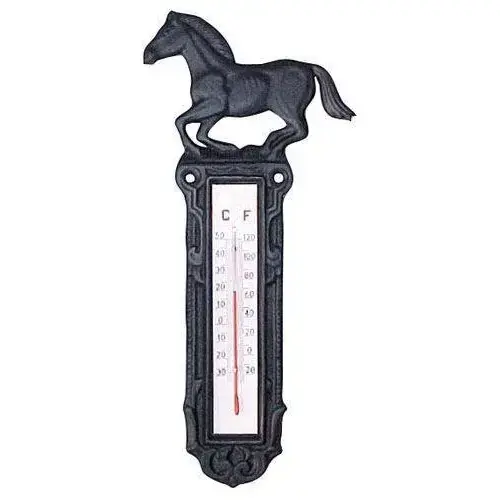 Bästa pris | Thermometer av järn HKM