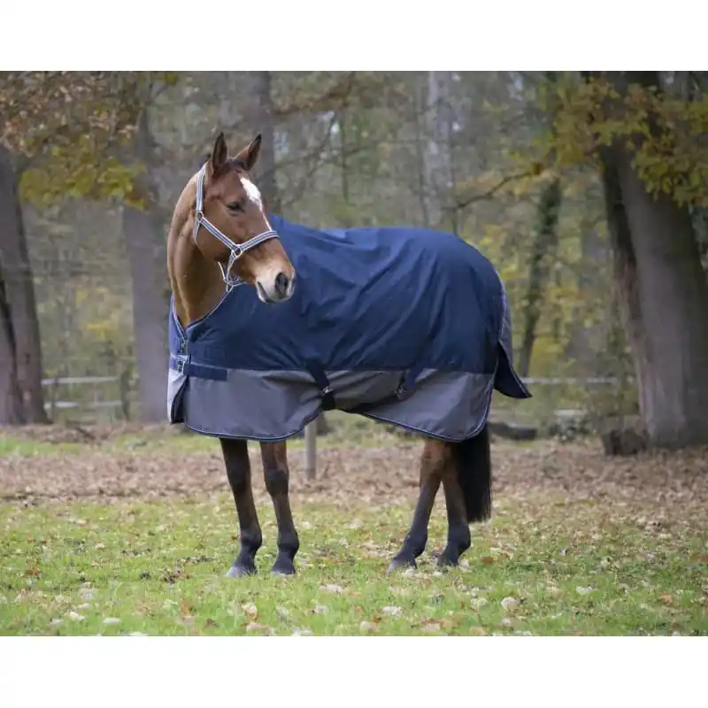 Övergångstäcke 150g 600D – TYREX 600 – EQUITHÈME | Rekommenderas