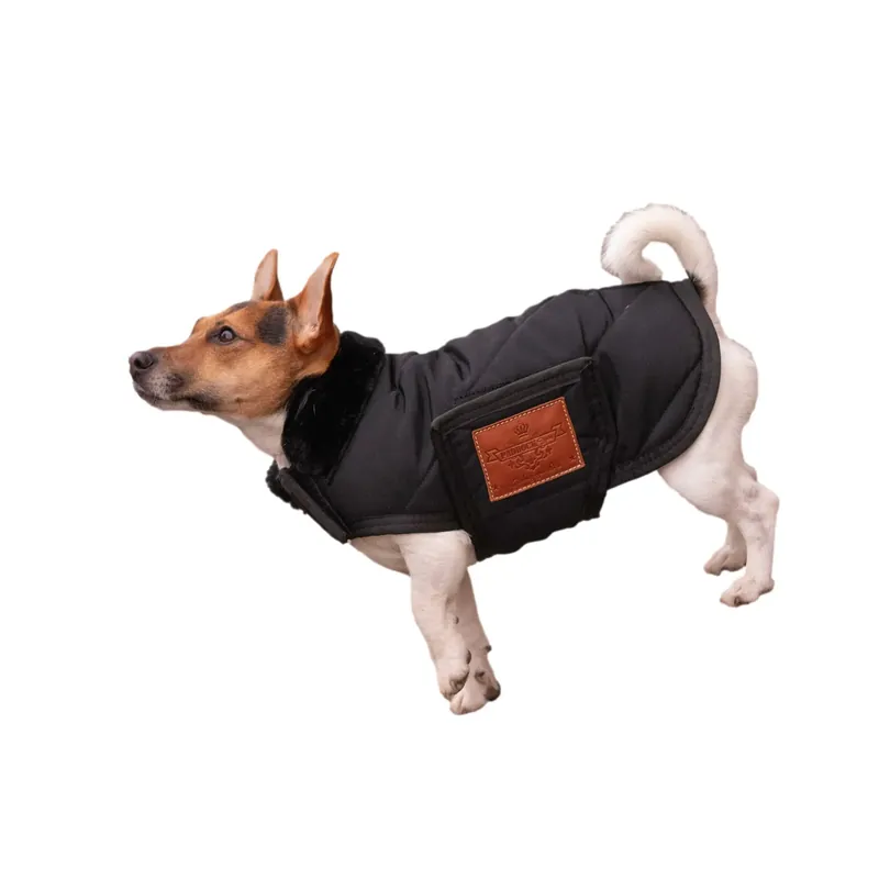 Fabrikspris - Hundfilt diagonal Paddock Sports