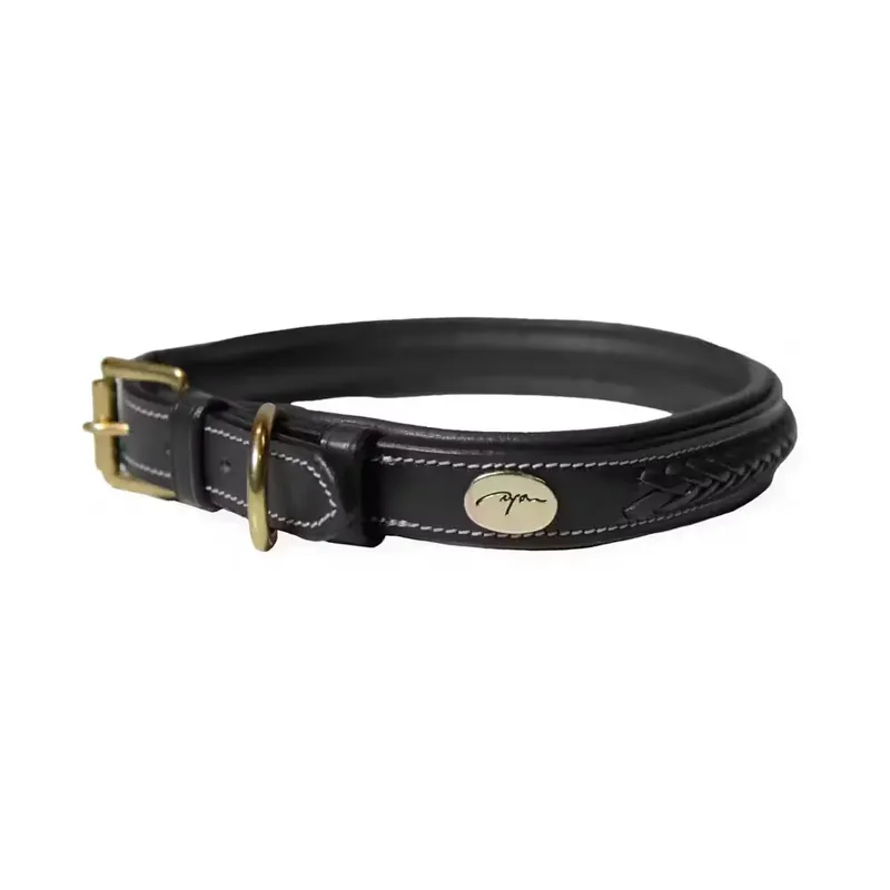 Rekommenderas | Flätat hundhalsband Dy’on