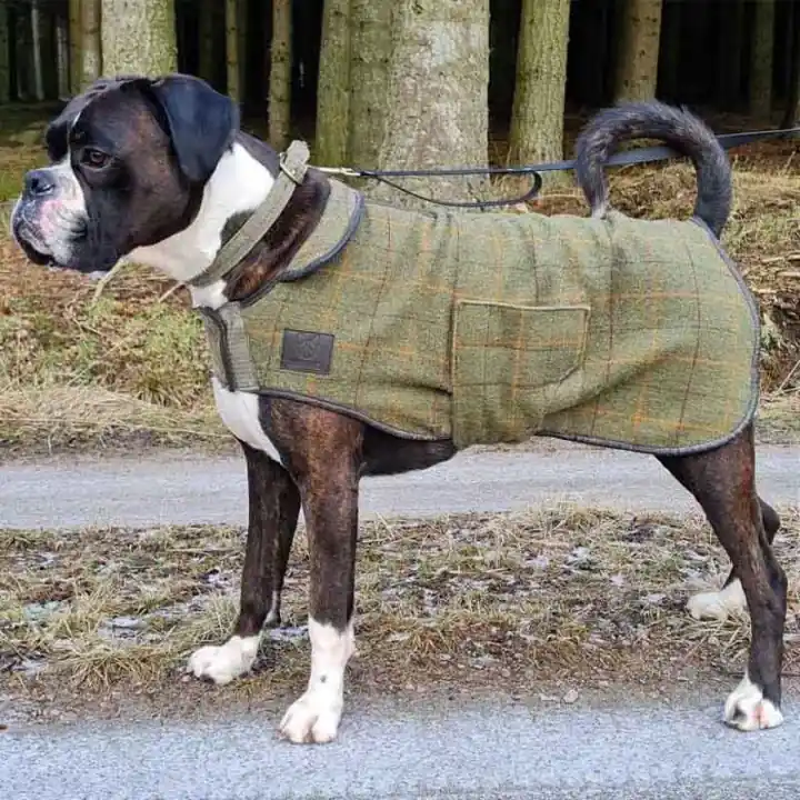Hundtäcke Tweed Grön - Outlet