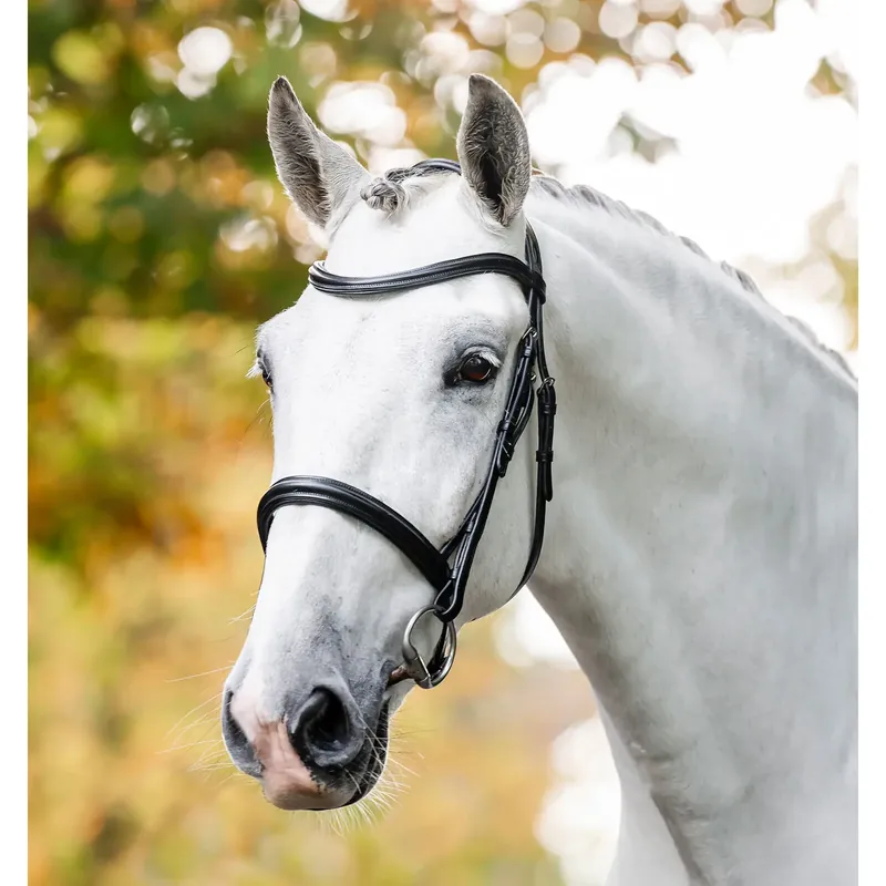 Dagens deal | Ridträns Horseware