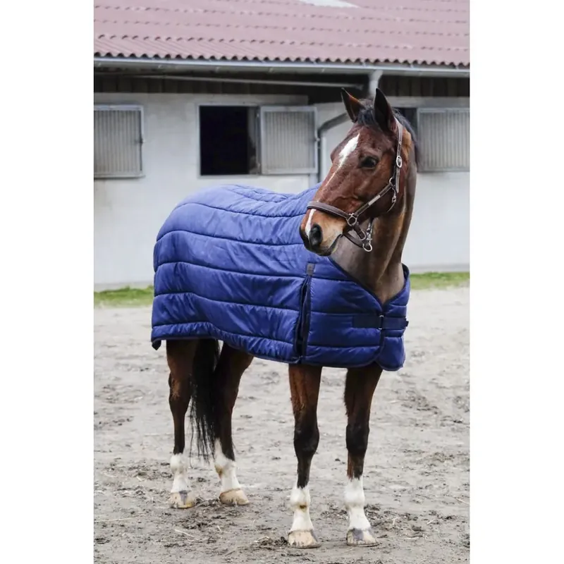 Bästa pris - Undercover för hästar Equithème Classic