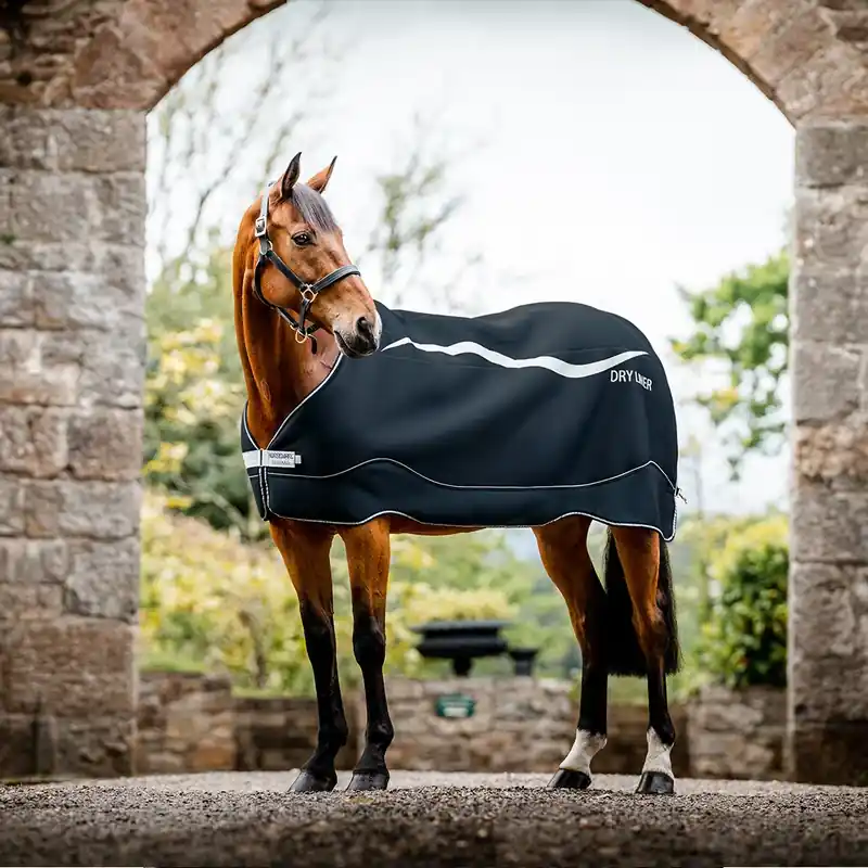 Handla nu | Horseware Dry Liner