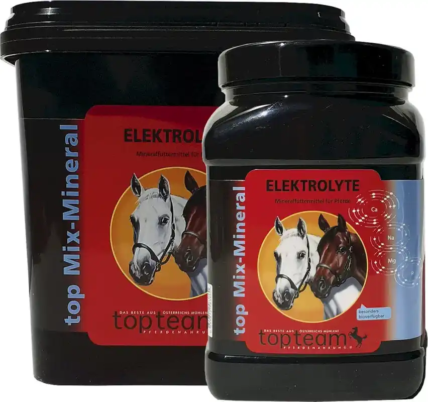 top Elektrolyter 1 kg | Reapris