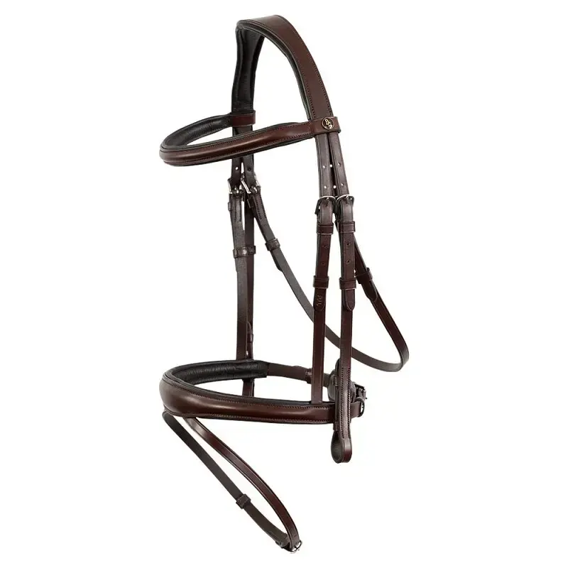 Ridträns BR Equitation Credition | Toppkvalitet